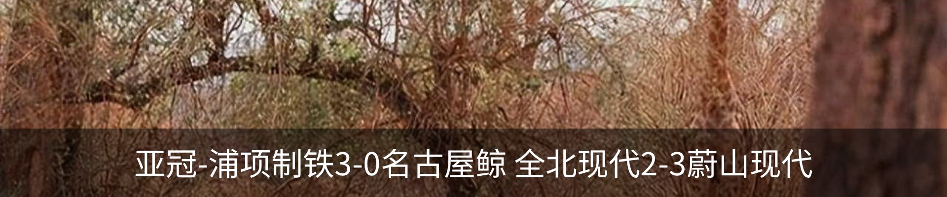资讯动态