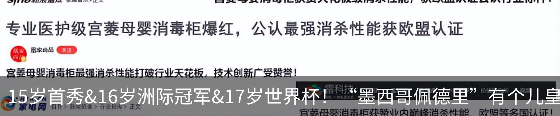 资讯动态